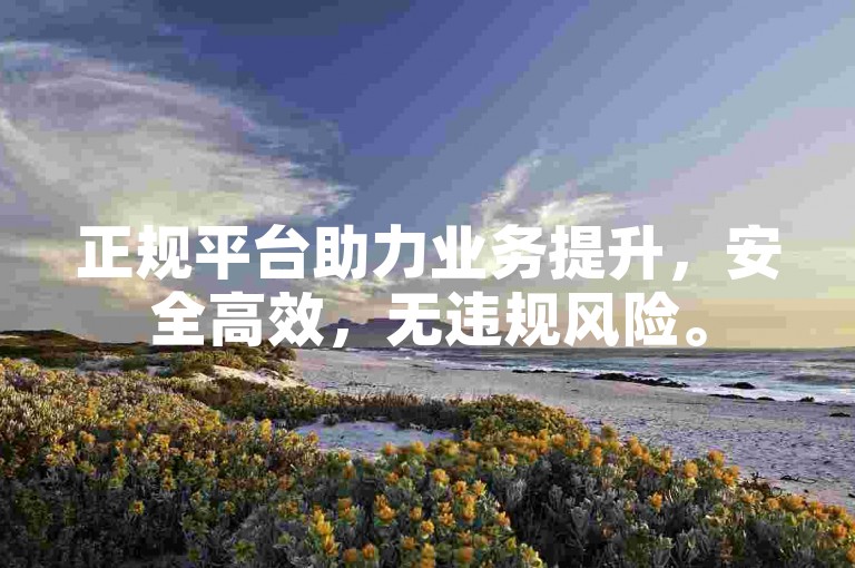 正规平台助力业务提升，安全高效，无违规风险。
