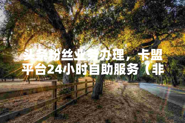 头条粉丝业务办理，卡盟平台24小时自助服务（非违规关联）。