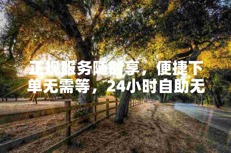 正规服务随时享，便捷下单无需等，24小时自助无忧。