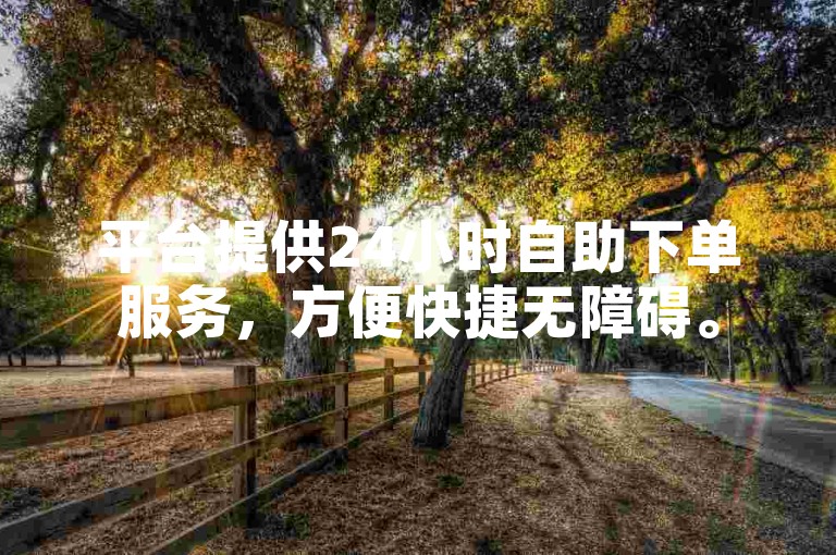 平台提供24小时自助下单服务，方便快捷无障碍。