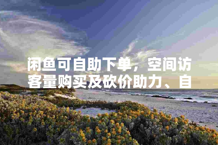 闲鱼可自助下单，空间访客量购买及砍价助力、自动下单服务了解一下。