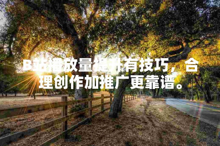 B站播放量提升有技巧，合理创作加推广更靠谱。