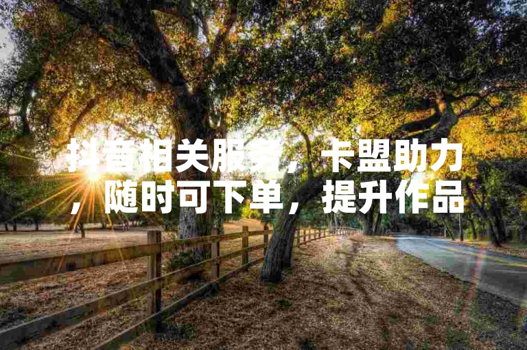 抖音相关服务，卡盟助力，随时可下单，提升作品互动。