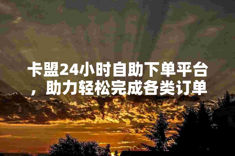 卡盟24小时自助下单平台，助力轻松完成各类订单任务。