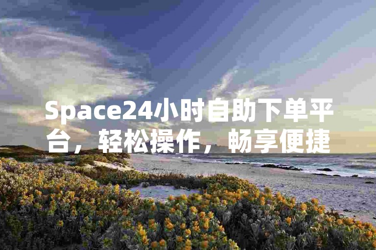 Space24小时自助下单平台，轻松操作，畅享便捷购物体验。