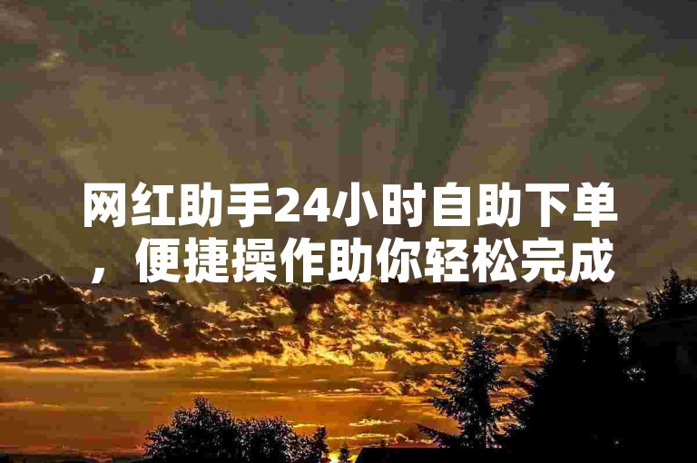 网红助手24小时自助下单，便捷操作助你轻松完成网红业务。