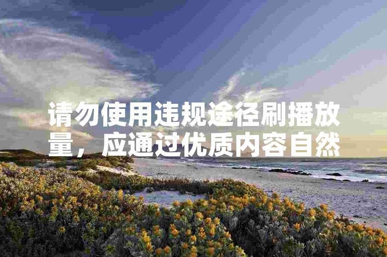 请勿使用违规途径刷播放量，应通过优质内容自然获关注。