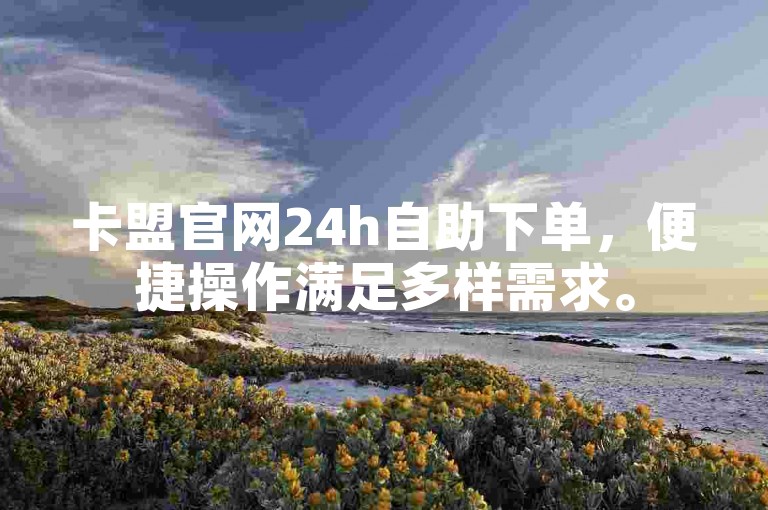 卡盟官网24h自助下单，便捷操作满足多样需求。