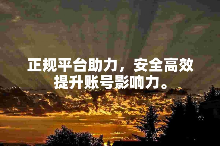 正规平台助力，安全高效提升账号影响力。