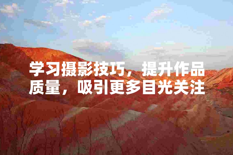 学习摄影技巧，提升作品质量，吸引更多目光关注。