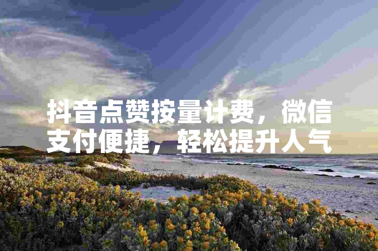抖音点赞按量计费，微信支付便捷，轻松提升人气。