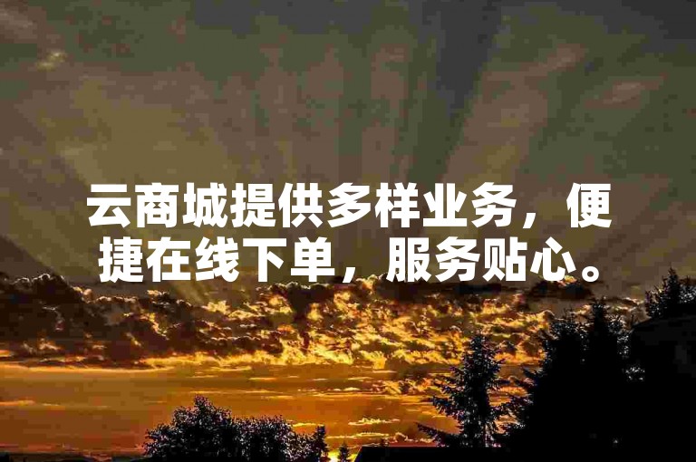 云商城提供多样业务，便捷在线下单，服务贴心。