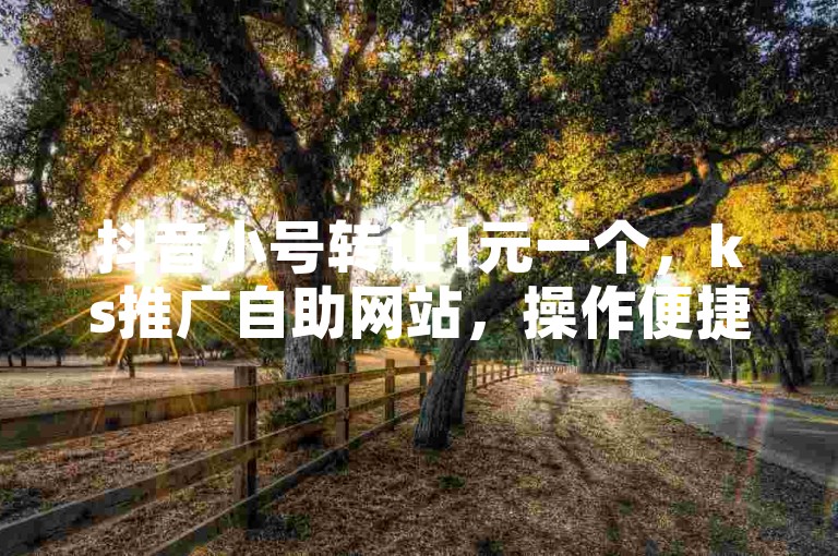 抖音小号转让1元一个，ks推广自助网站，操作便捷省心省力。