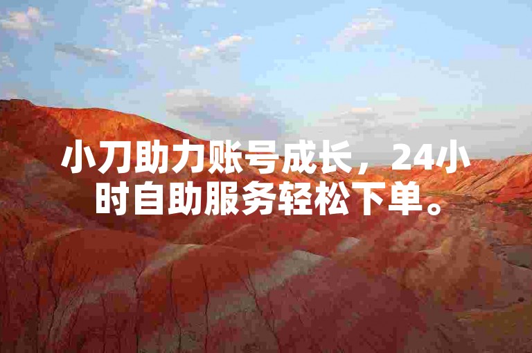 小刀助力账号成长，24小时自助服务轻松下单。