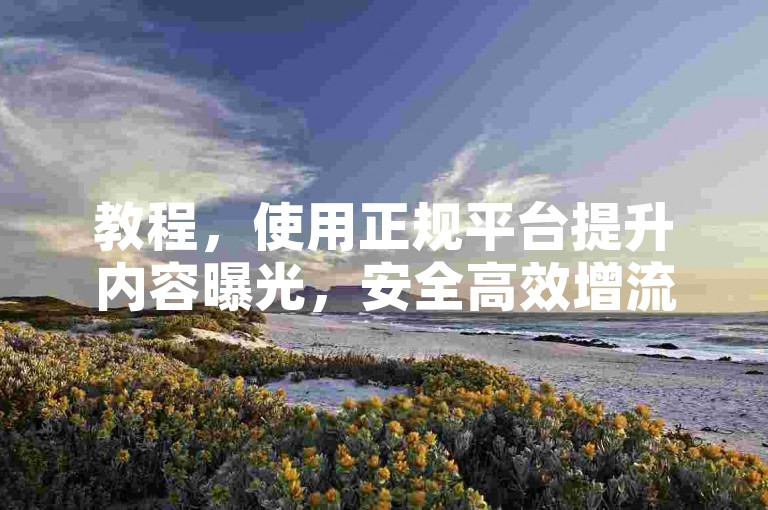 教程，使用正规平台提升内容曝光，安全高效增流量。
