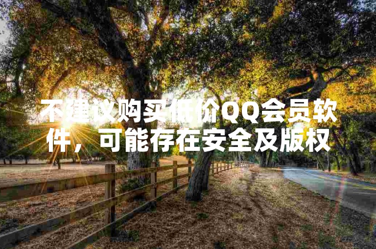 不建议购买低价QQ会员软件，可能存在安全及版权风险。