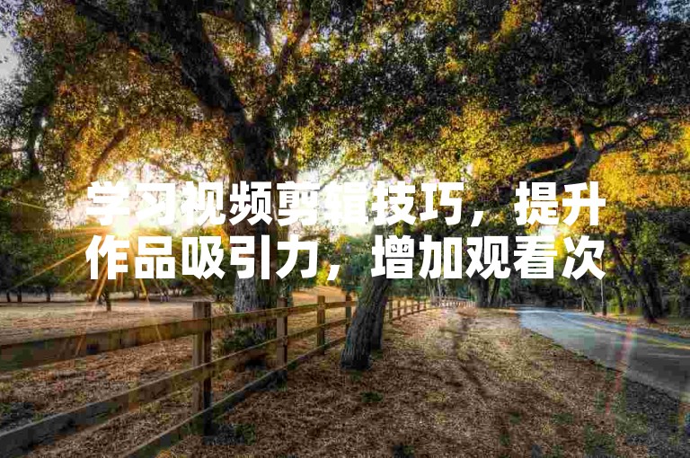 学习视频剪辑技巧，提升作品吸引力，增加观看次数。