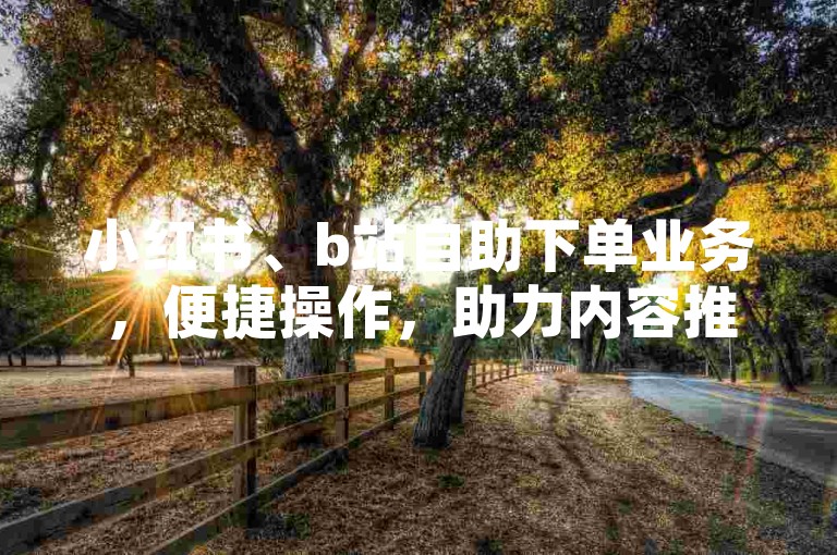 小红书、b站自助下单业务，便捷操作，助力内容推广。