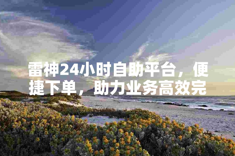 雷神24小时自助平台，便捷下单，助力业务高效完成。