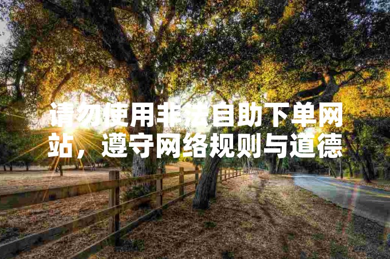 请勿使用非法自助下单网站，遵守网络规则与道德规范。
