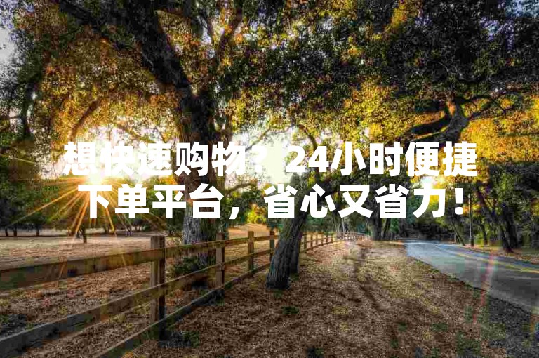 想快速购物？24小时便捷下单平台，省心又省力！