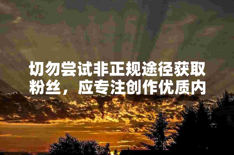 切勿尝试非正规途径获取粉丝，应专注创作优质内容吸粉。