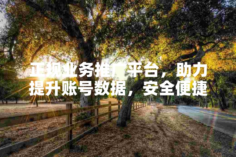 正规业务推广平台，助力提升账号数据，安全便捷。
