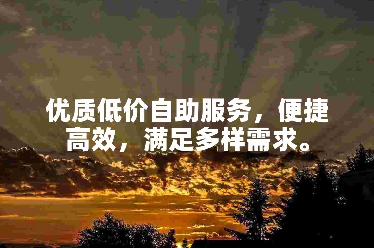 优质低价自助服务，便捷高效，满足多样需求。