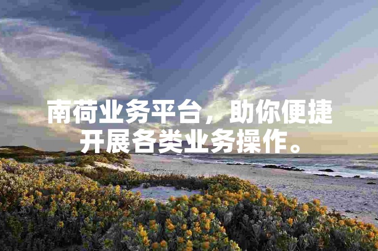 南荷业务平台，助你便捷开展各类业务操作。