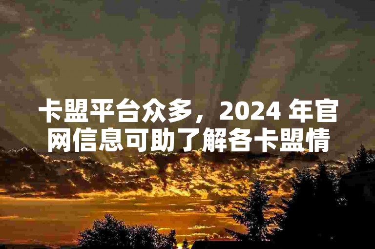 卡盟平台众多，2024 年官网信息可助了解各卡盟情况。