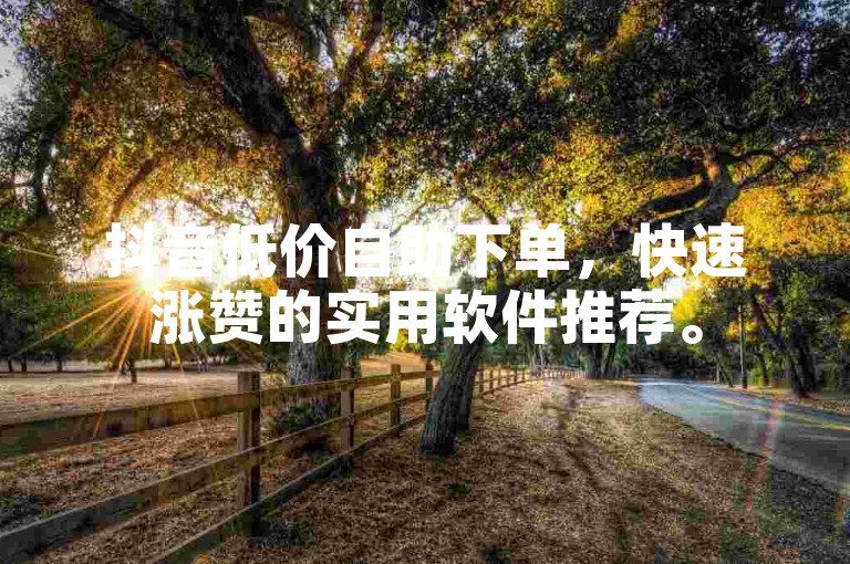 抖音低价自助下单，快速涨赞的实用软件推荐。