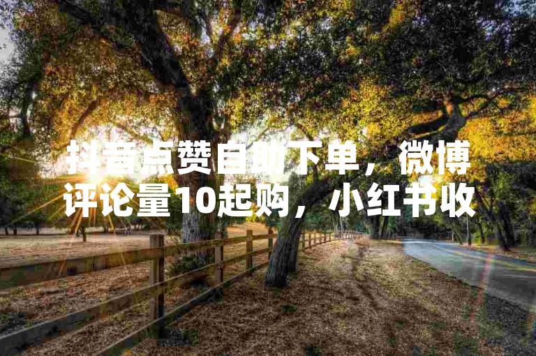 抖音点赞自助下单，微博评论量10起购，小红书收藏服务开启