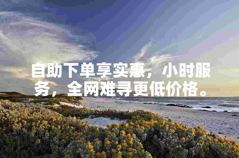 自助下单享实惠，小时服务，全网难寻更低价格。