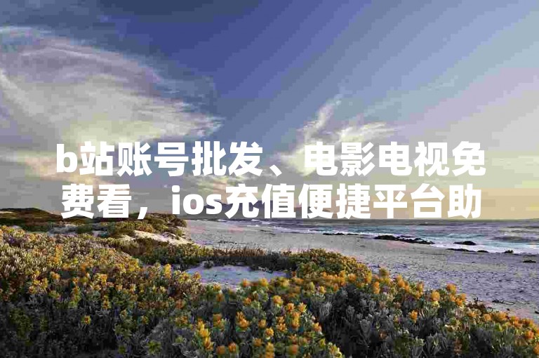 b站账号批发、电影电视免费看，ios充值便捷平台助你畅享娱乐。