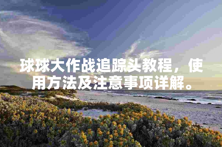 球球大作战追踪头教程，使用方法及注意事项详解。