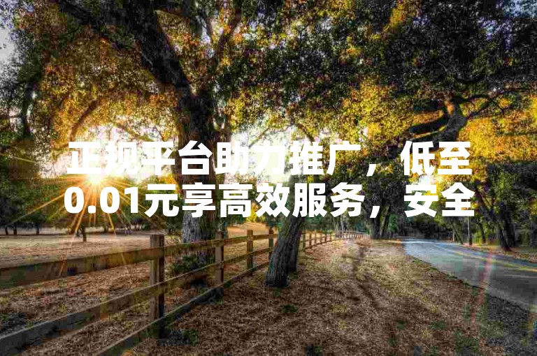 正规平台助力推广，低至0.01元享高效服务，安全无忧。