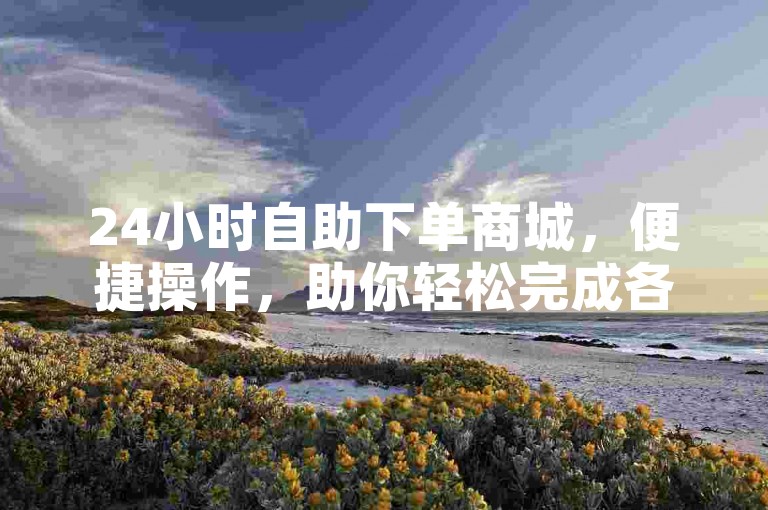 24小时自助下单商城，便捷操作，助你轻松完成各类业务需求。