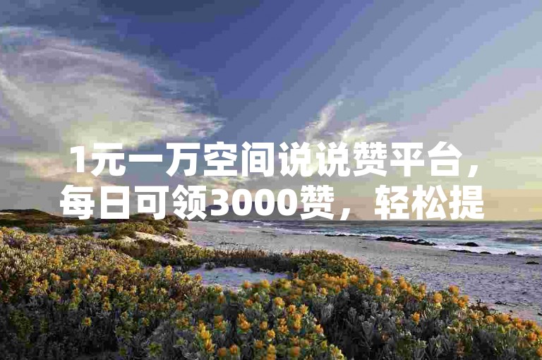 1元一万空间说说赞平台，每日可领3000赞，轻松提升人气。