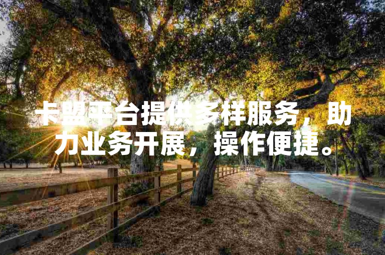 卡盟平台提供多样服务，助力业务开展，操作便捷。