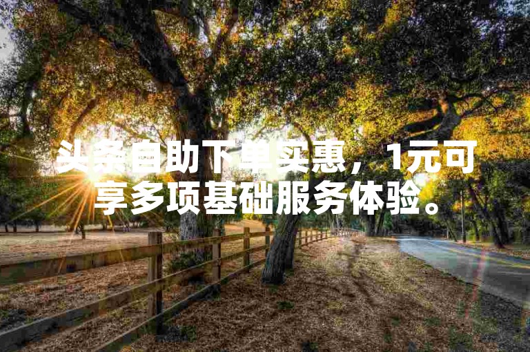 头条自助下单实惠，1元可享多项基础服务体验。