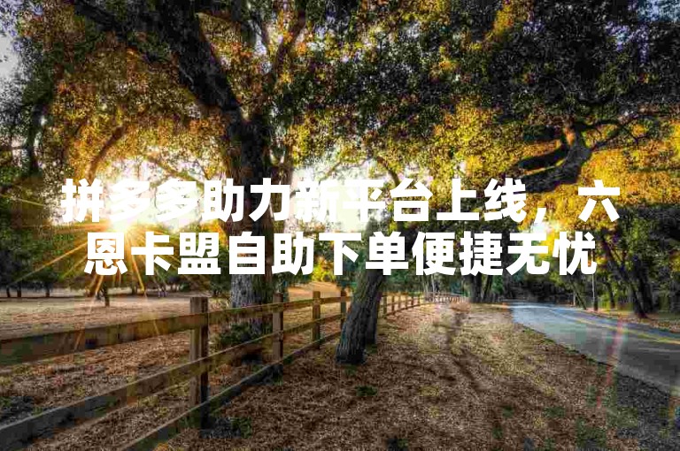 拼多多助力新平台上线，六恩卡盟自助下单便捷无忧。