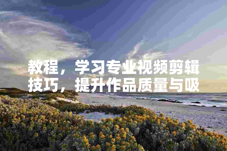 教程，学习专业视频剪辑技巧，提升作品质量与吸引力。