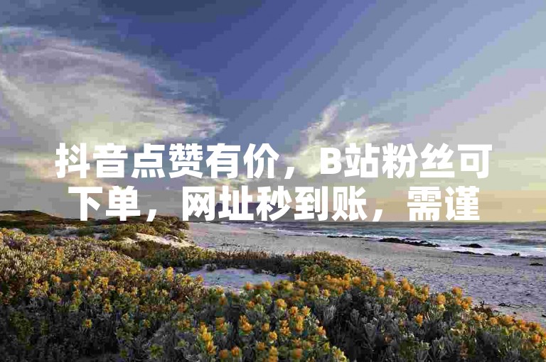 抖音点赞有价，B站粉丝可下单，网址秒到账，需谨慎操作。