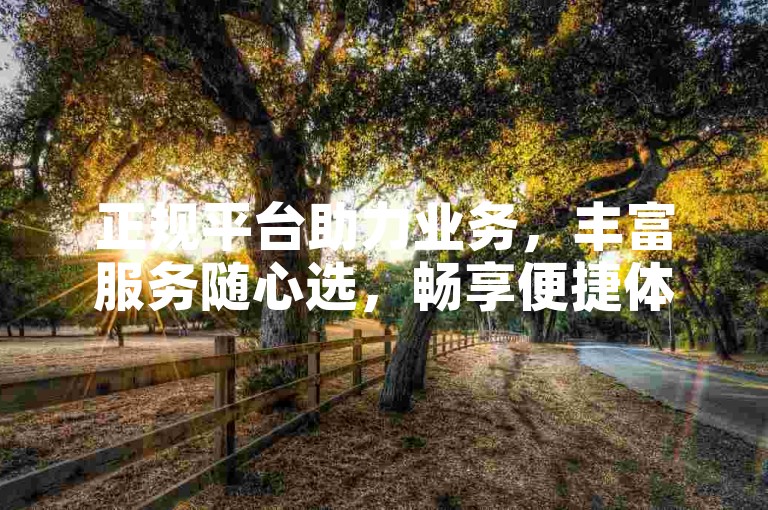正规平台助力业务，丰富服务随心选，畅享便捷体验。