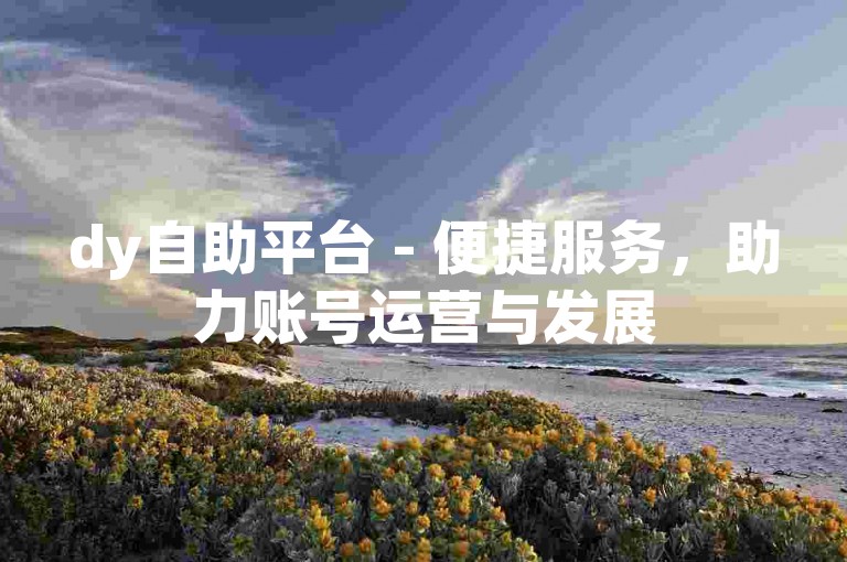 dy自助平台 - 便捷服务，助力账号运营与发展