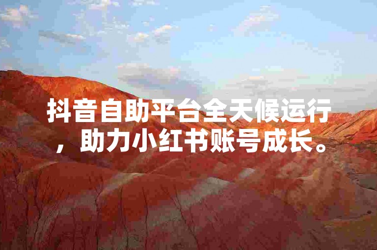 抖音自助平台全天候运行，助力小红书账号成长。