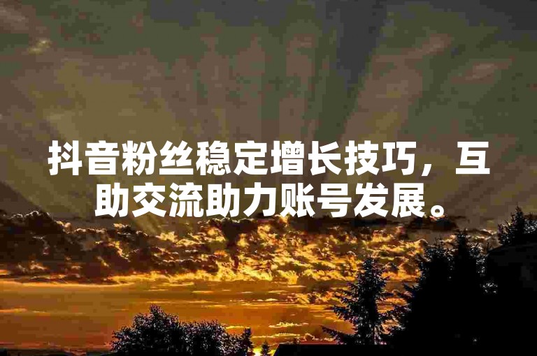 抖音粉丝稳定增长技巧，互助交流助力账号发展。