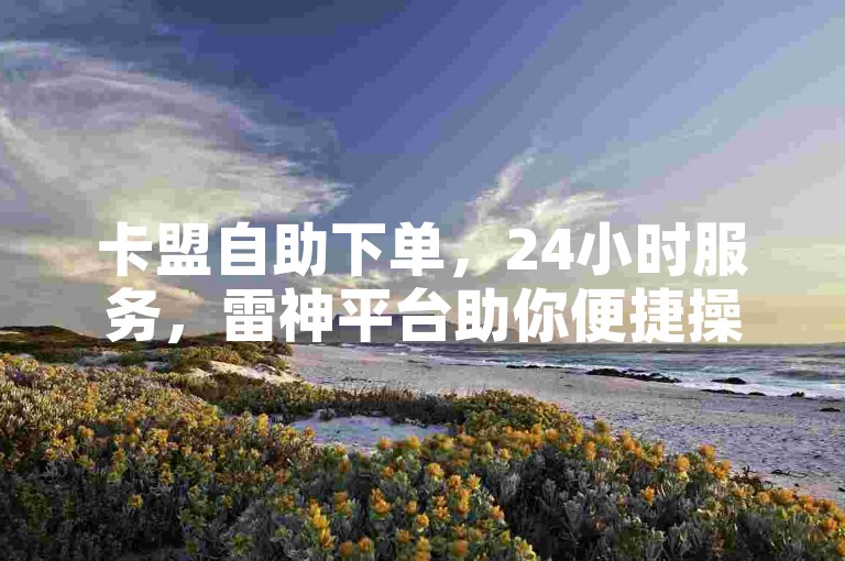 卡盟自助下单，24小时服务，雷神平台助你便捷操作。