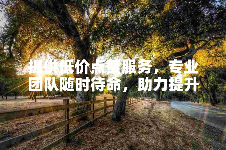 提供低价点赞服务，专业团队随时待命，助力提升人气。
