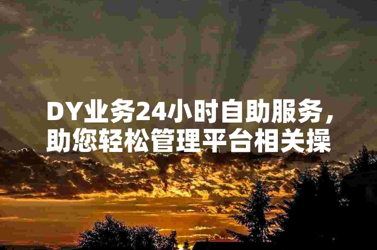 DY业务24小时自助服务，助您轻松管理平台相关操作。